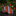 Striped tie with red orange, brown, and gray pattern on a dark surface with blurred flowers in the background