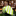 Rolled green and white striped tie on a reflective surface with flowers in the background