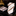 Alt View: A Brown, Light Brown, White Stripe Pattern Silk Necktie, Pocket Square