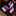 Red, white, and blue striped tie and squ on a dark surfacere