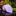 Pink and blue checkered tie on a reflective surface with flowers in the background