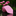 Pink tie with blue polka dots on a reflective surface with pink flowers in the background