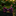 Pink and blue paisley bow tie on a dark surface with a blurred floral background
