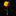 Floral lapel pin with yellow and red flowers on a black marble background