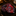 Red Paisley Necktie