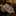 Floral patterned tie on a dark background