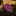 A Purple, Orange Dots Pattern Necktie 