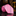 Pink striped tie on a dark surface with a blurred background