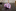 Pink with small blue stripes necktie
