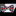 Black Orange White Halloween Cats Bow Tie 