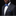 Man wearing a black suit with a blue bow tie and pocket square on a black background
