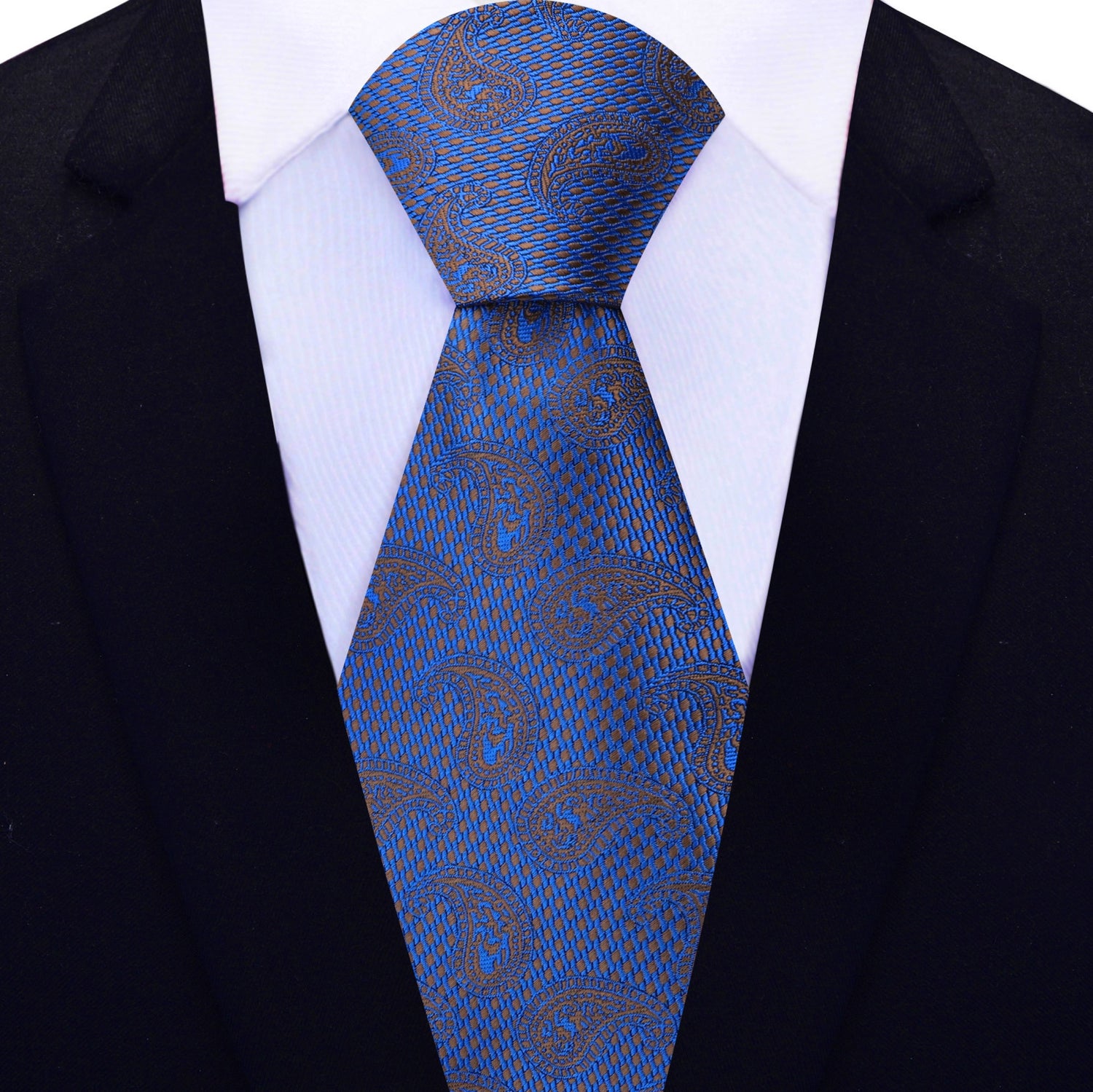 View 2: Blue, Brown Paisley Necktie