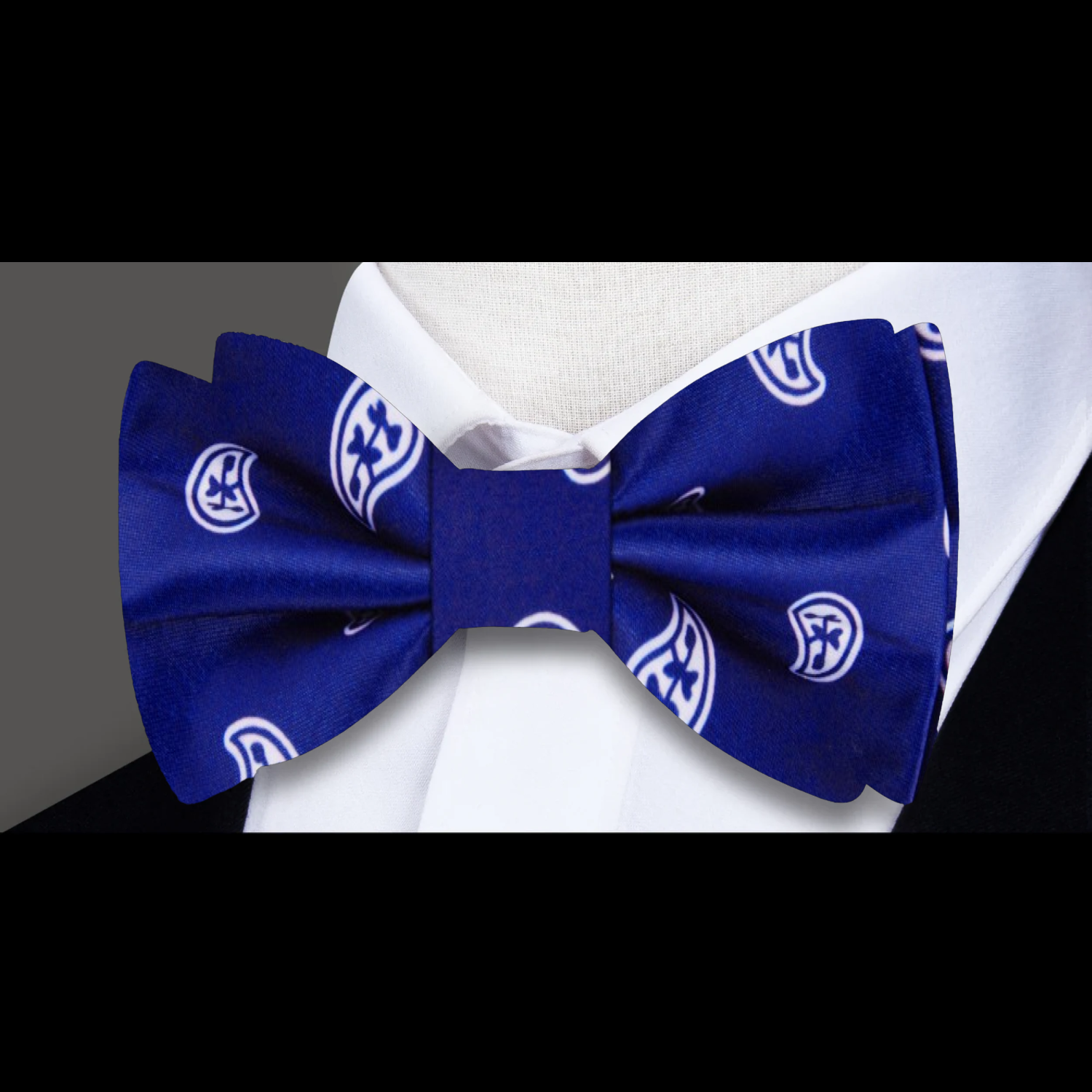 Deep Blue, White Paisley Bow Tie