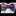Purple Blue Hartford Plaid Bow tie