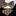 Brown Fleur De Lis Bow Tie and Pocket Square