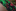 Shades of Green, Red Abstract Tie Keep