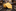 Dandelion Yellow Necktie