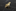 A Gold Hand Lapel Pin