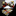 Black, Brown, Gold and Red Polka Bow Tie and Square