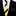 Thin Gold and Black Paisley Necktie and Accenting Square