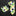 Two patterned fabric swatches with green, yellow, and black circles on a white background.