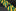Green and Yellow Stripe Necktie Keep