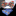 Main: A Light Gold, Light Blue, Blue, Red Interlocking Lines Pattern Silk Pre Tied Bow Tie, Accenting Pocket Square