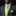 Man wearing a gray suit with a white shirt and green tie and pocket square on a black background