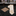 Beige, Brown Cream Vines Necktie and Accenting Square
