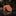 Orange Necktie 