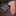Alt Salmon, Red, Green Polka Tie and Purple Pink and Red with Green Floral Square