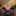 Pink Pre Tied Bow Tie