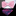 Pink Bars Bow Tie and Blue Pink Paisley Pocket Square 