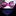 Pink, Black Paisley Bow Tie and Accenting Blue Pink Square