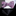 A light pink and black paisley bow tie paired with a black pocket square