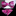 Pink, Black Paisley Bow Tie and Pocket Square