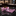 Shades of Purple and Pink with White Flowers Bow Tie and Accenting Pocket Square