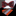 Red Floral Bow Tie and Accenting Square