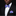 Purple and Blue paisley Bow Tie and Square on man with suit