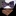 A Purple, Brown Paisley Pattern Self Tie Bow Tie, Accenting Pocket Square