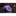 Shades of Purple Sketched Roses Necktie  