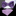 Purple Paisley bow tie and Accenting Square
