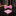 A Real Pink Solid Pattern Self Tie Bow Tie, Matching Pocket Square