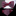 Red Floral Bow Tie and Square