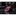 Rich Red Floral Kids Necktie 