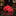 A rolled red necktie with a white and dark red floral pattern sits on a polished black marble surface in a luxury accessory shop. A branded black box for ' is visible on the left, and suit racks are blurred in the background.