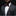 brown chocolate bow tie and accenting square on man