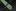 Shades of Green and Yellow Abstract Necktie Keep 