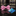 Shades of Pink Paisley Bow Tie and Accenting Pocket Square