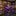 Solid Purple Bow Tie Pre Tied
